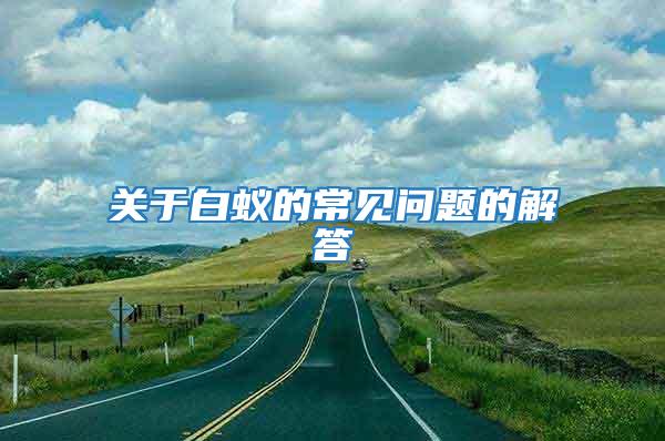 關(guān)于白蟻的常見(jiàn)問(wèn)題的解答