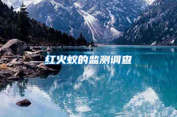紅火蟻的監(jiān)測調(diào)查