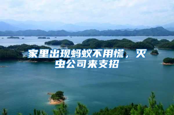 家里出現(xiàn)螞蟻不用慌，滅蟲公司來支招