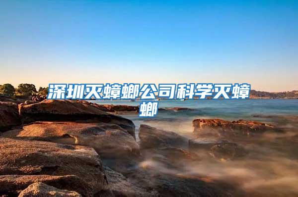 深圳滅蟑螂公司科學(xué)滅蟑螂