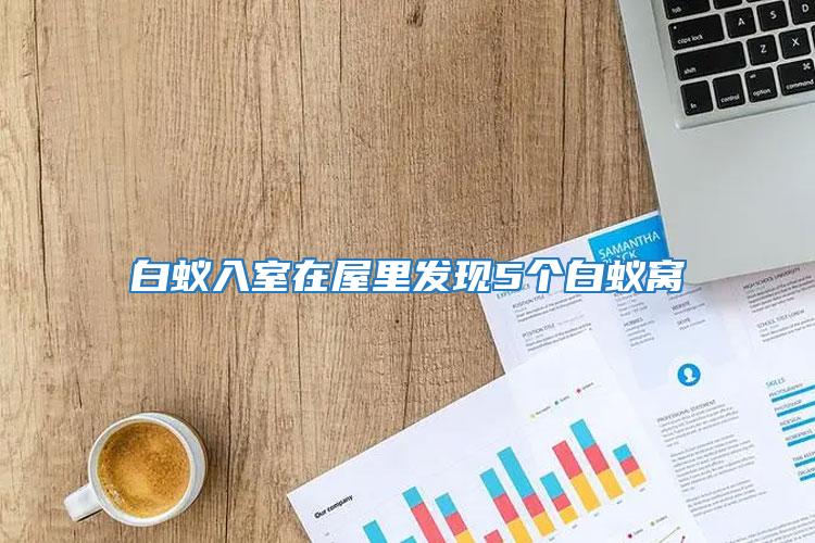白蟻入室在屋里發現5個白蟻窩