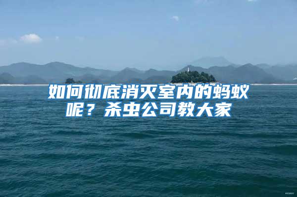 如何徹底消滅室內的螞蟻呢？殺蟲公司教大家
