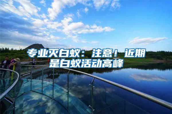 專業滅白蟻：注意！近期是白蟻活動高峰