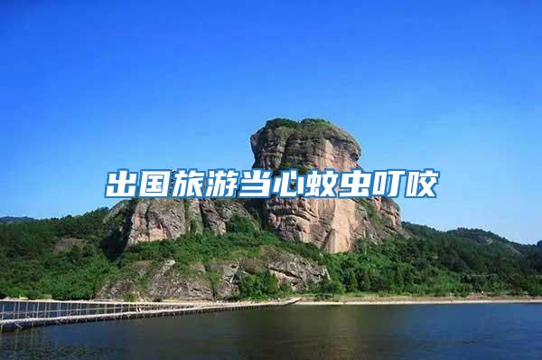 出國旅游當(dāng)心蚊蟲叮咬