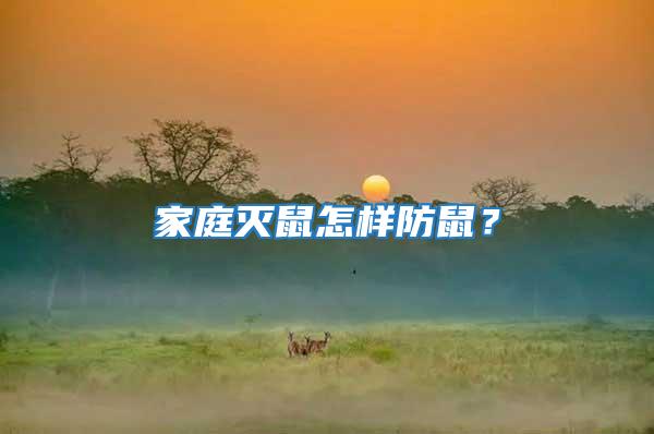 家庭滅鼠怎樣防鼠？