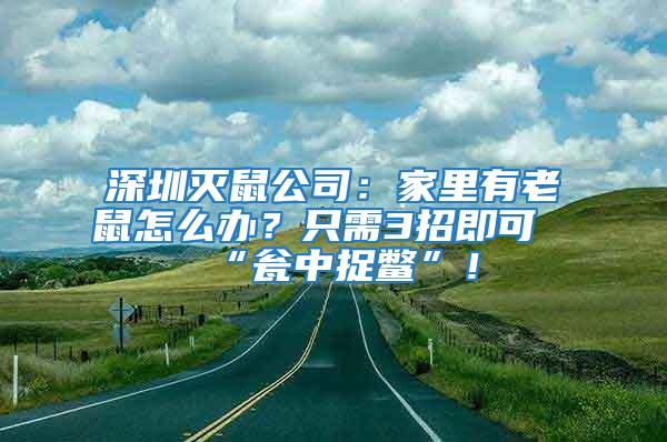深圳滅鼠公司：家里有老鼠怎么辦？只需3招即可“甕中捉鱉”！