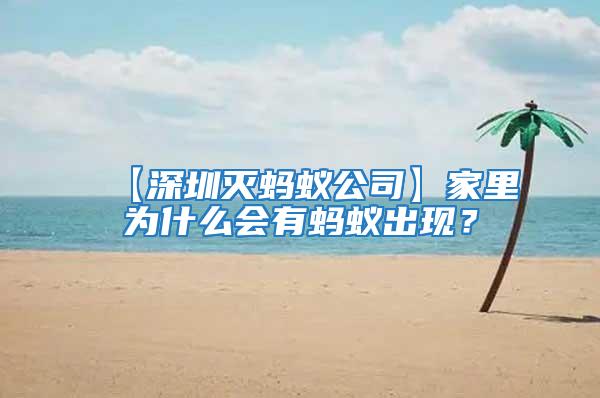 【深圳滅螞蟻公司】家里為什么會有螞蟻出現？