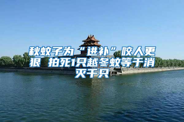 秋蚊子為“進(jìn)補(bǔ)”咬人更狠 拍死1只越冬蚊等于消滅千只