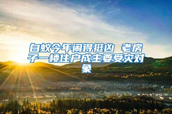 白蟻今年鬧得挺兇 老房子一樓住戶(hù)成主要受災(zāi)對(duì)象