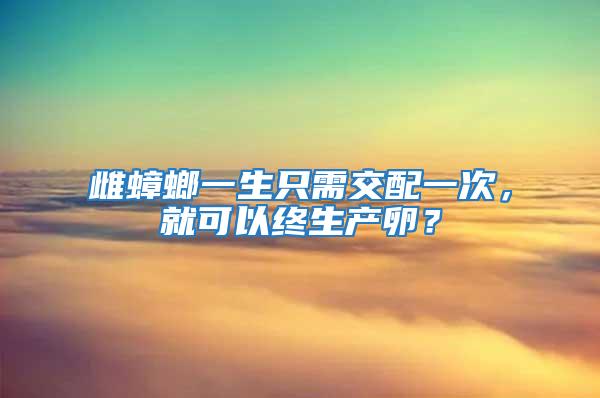 雌蟑螂一生只需交配一次，就可以終生產卵？