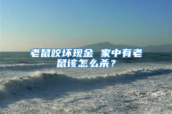 老鼠咬壞現(xiàn)金 家中有老鼠該怎么殺？