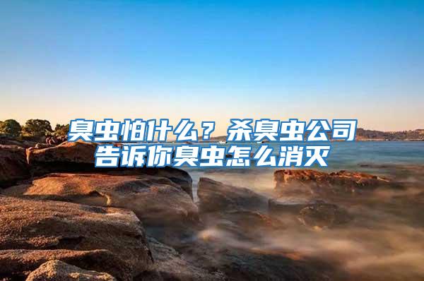 臭蟲怕什么？殺臭蟲公司告訴你臭蟲怎么消滅