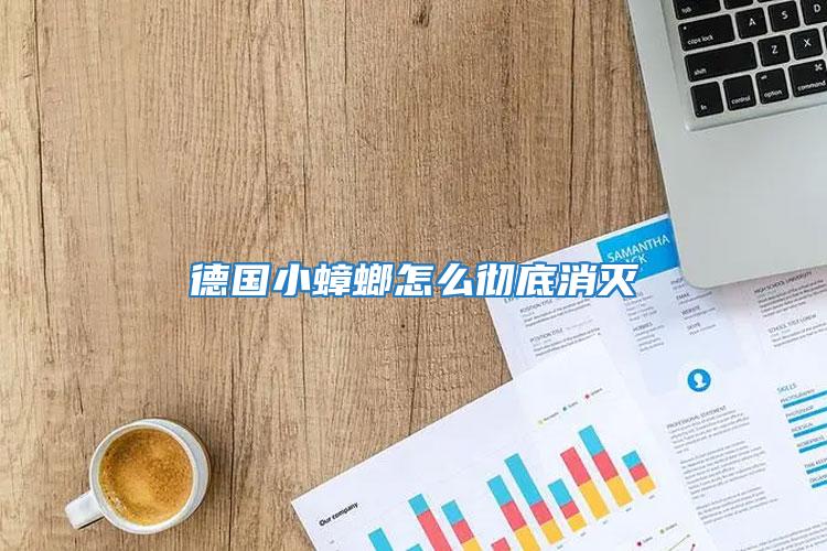 德國小蟑螂怎么徹底消滅