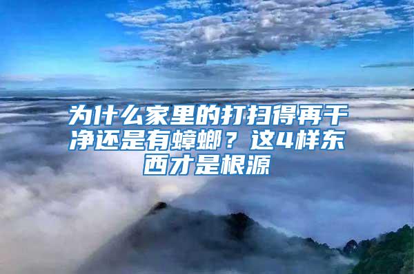 為什么家里的打掃得再干凈還是有蟑螂？這4樣?xùn)|西才是根源
