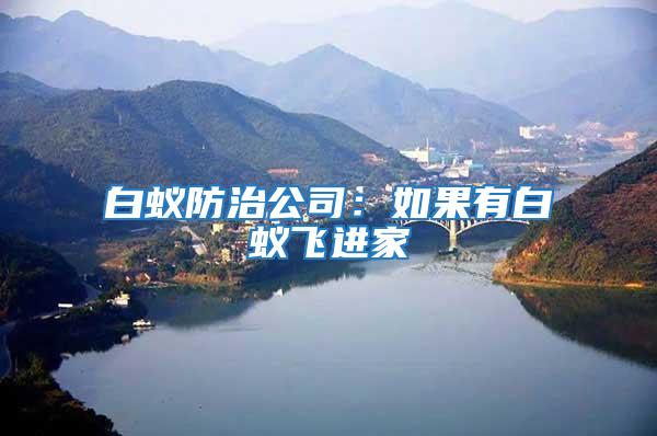 白蟻防治公司：如果有白蟻飛進(jìn)家