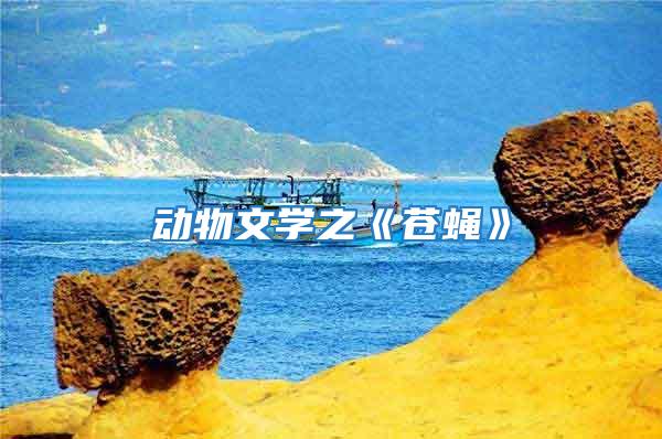 動物文學(xué)之《蒼蠅》