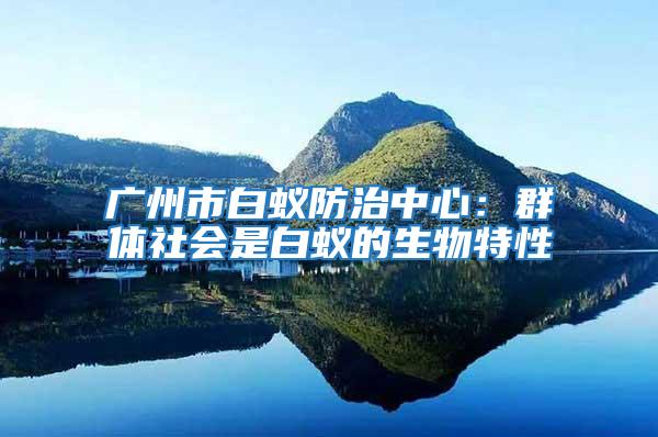 廣州市白蟻防治中心：群體社會(huì)是白蟻的生物特性