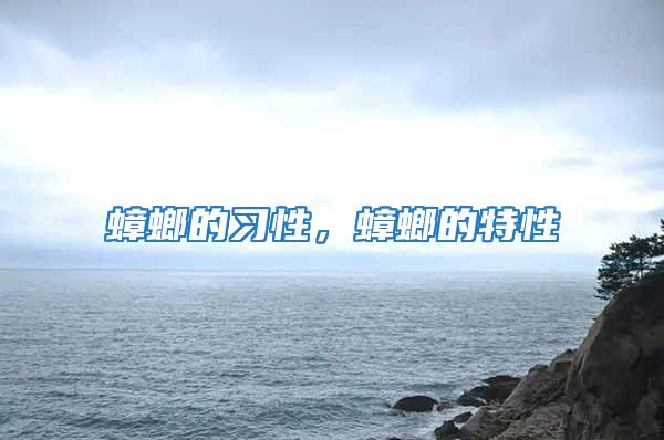 蟑螂的習性，蟑螂的特性