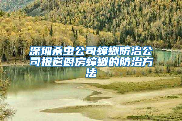 深圳殺蟲公司蟑螂防治公司報(bào)道廚房蟑螂的防治方法