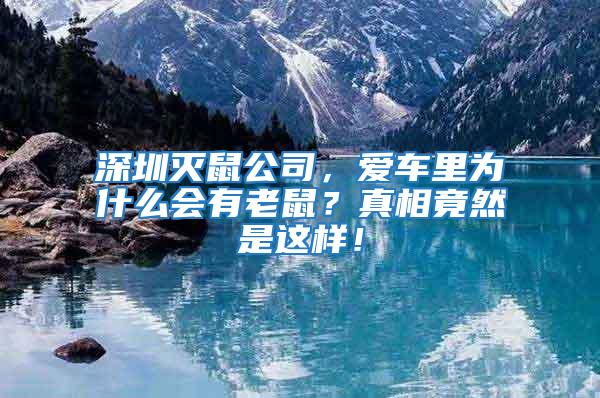 深圳滅鼠公司，愛車?yán)餅槭裁磿欣鲜螅空嫦嗑谷皇沁@樣！