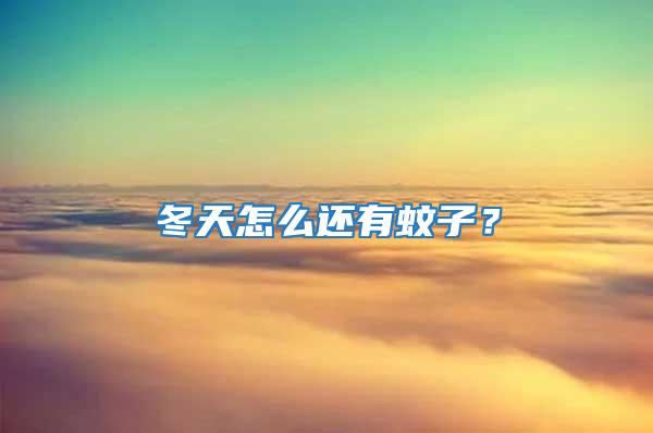 冬天怎么還有蚊子？