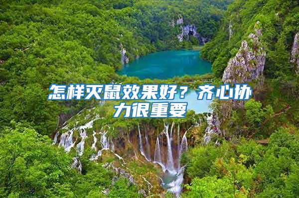 怎樣滅鼠效果好？齊心協(xié)力很重要