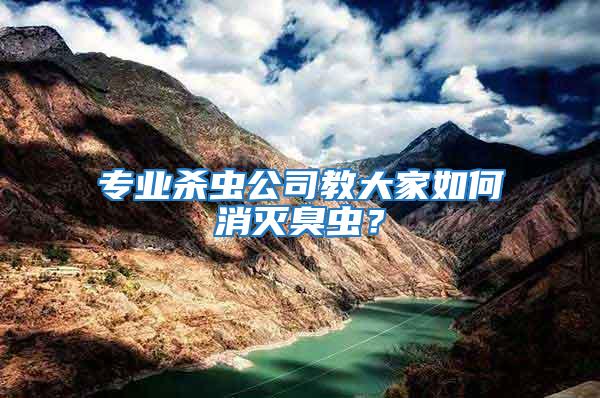 專業(yè)殺蟲公司教大家如何消滅臭蟲？