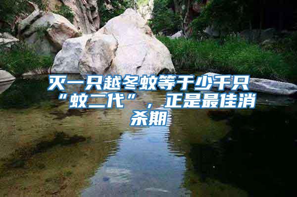 滅一只越冬蚊等于少千只“蚊二代”，正是最佳消殺期