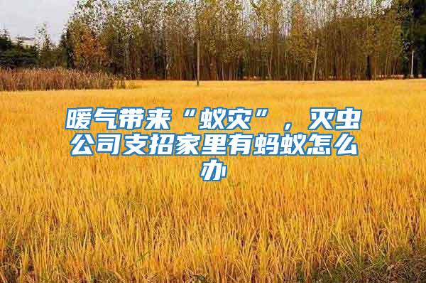 暖氣帶來“蟻災”，滅蟲公司支招家里有螞蟻怎么辦