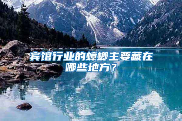 賓館行業的蟑螂主要藏在哪些地方？