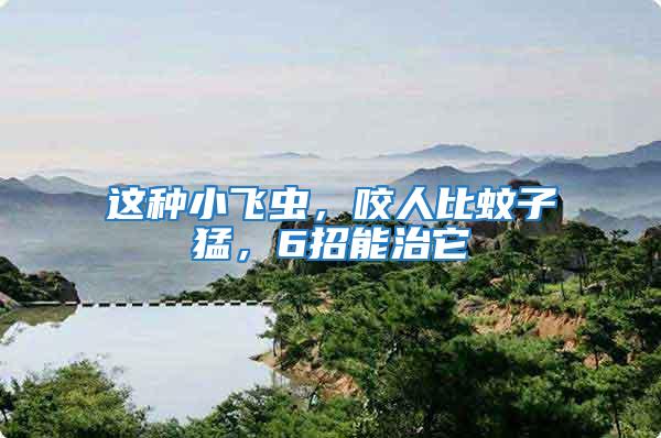 這種小飛蟲，咬人比蚊子猛，6招能治它