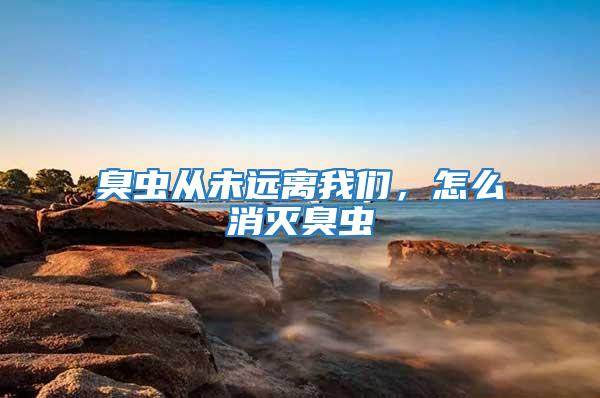 臭蟲從未遠(yuǎn)離我們，怎么消滅臭蟲