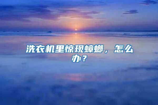 洗衣機(jī)里驚現(xiàn)蟑螂，怎么辦？