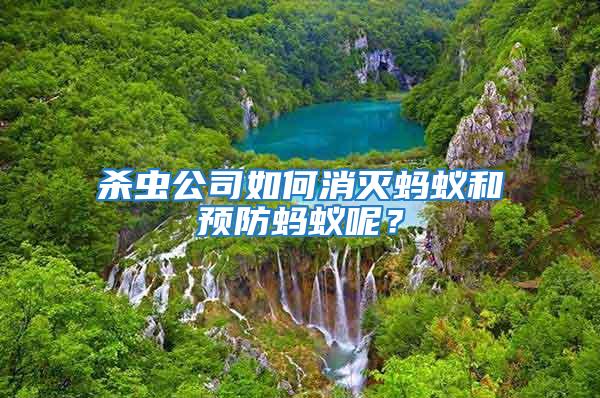 殺蟲公司如何消滅螞蟻和預防螞蟻呢？