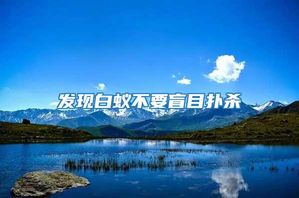 發現白蟻不要盲目撲殺
