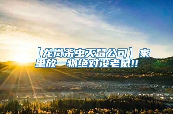 【龍崗殺蟲(chóng)滅鼠公司】家里放一物絕對(duì)沒(méi)老鼠!!
