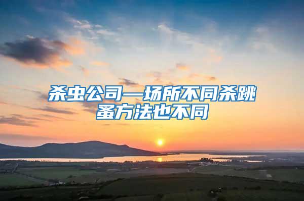 殺蟲公司—場(chǎng)所不同殺跳蚤方法也不同