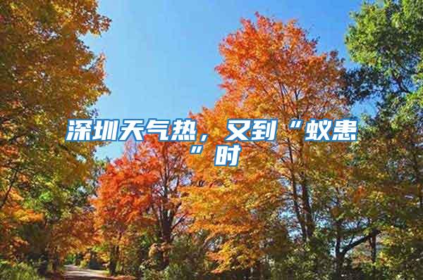 深圳天氣熱，又到“蟻患”時