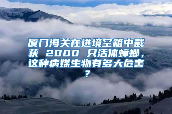 廈門海關(guān)在進(jìn)境空箱中截獲 2000 只活體蟑螂，這種病媒生物有多大危害？