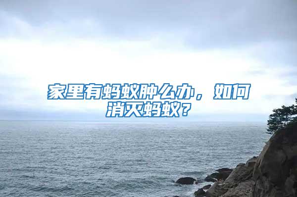 家里有螞蟻腫么辦，如何消滅螞蟻？