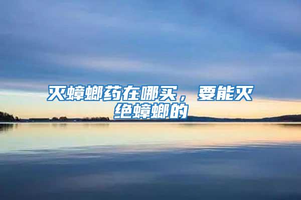 滅蟑螂藥在哪買，要能滅絕蟑螂的