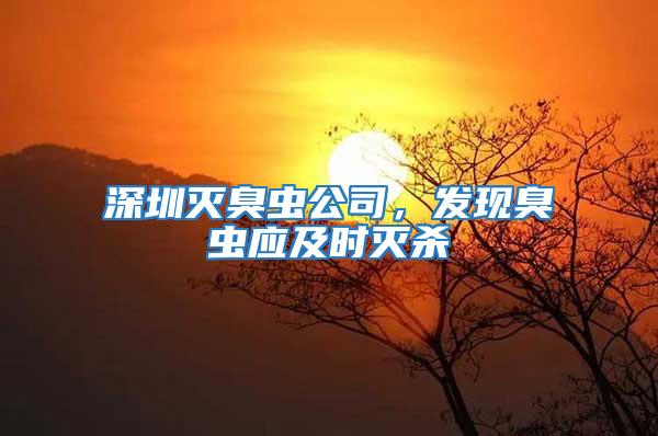 深圳滅臭蟲公司，發現臭蟲應及時滅殺