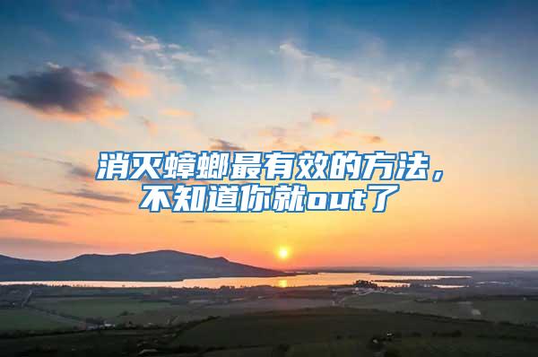 消滅蟑螂最有效的方法，不知道你就out了