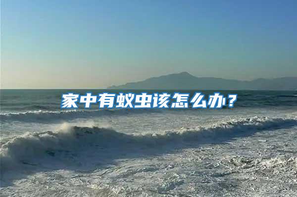 家中有蟻蟲該怎么辦？