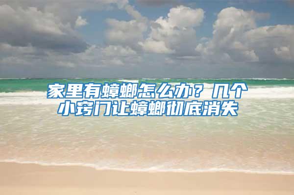 家里有蟑螂怎么辦？幾個小竅門讓蟑螂徹底消失