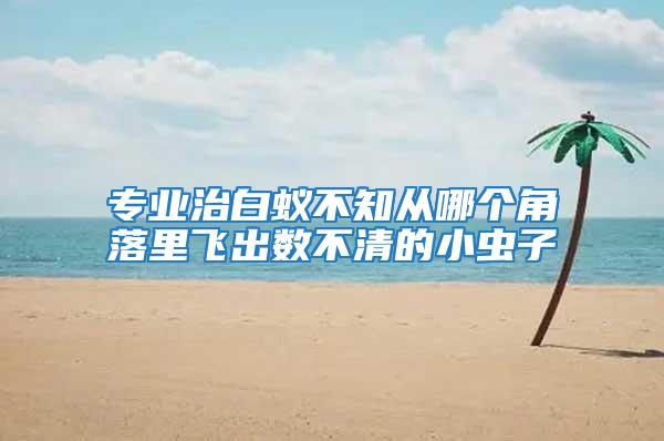 專業(yè)治白蟻不知從哪個(gè)角落里飛出數(shù)不清的小蟲子