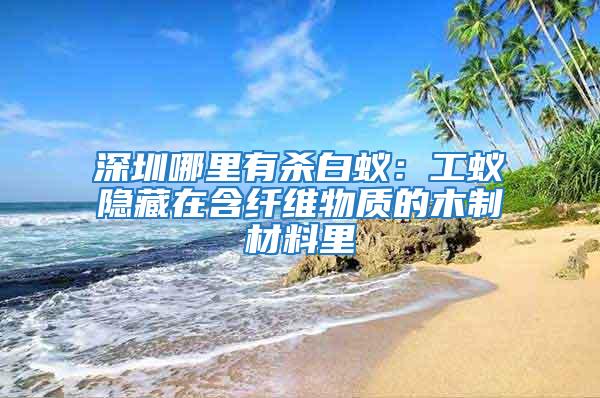深圳哪里有殺白蟻：工蟻隱藏在含纖維物質的木制材料里