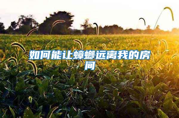 如何能讓蟑螂遠離我的房間