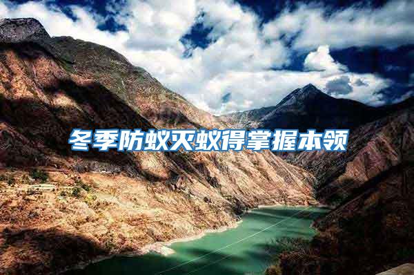 冬季防蟻滅蟻得掌握本領