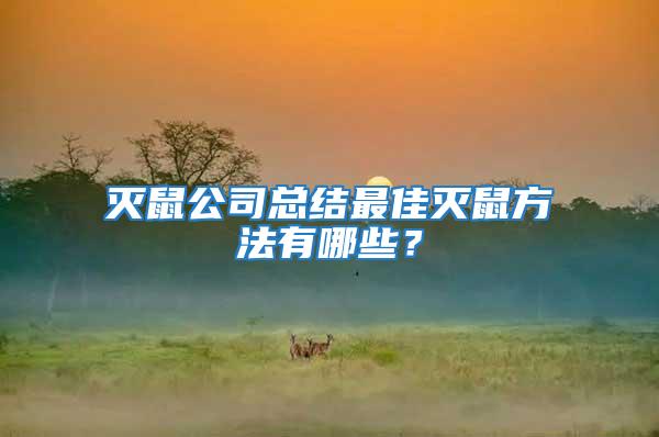 滅鼠公司總結(jié)最佳滅鼠方法有哪些？